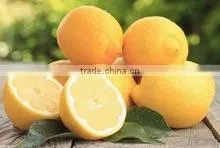 CITRUS FRUITS thumbnail-1