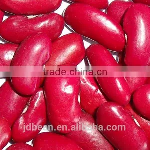 Dark Red Kidney Bean thumbnail-1