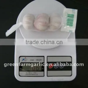 3p/500g/1kg Normal White Garlic thumbnail-1