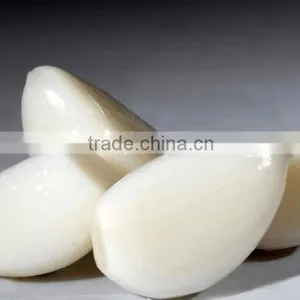 2016 Fresh Natural White Garlic or Red Garlic thumbnail-2