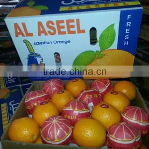 FRESH STYLE Lemon and Navel / Valencia Oranges in Egypt thumbnail-6