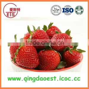 For Sale Best Quality Whole Fresh Strawberry thumbnail-1