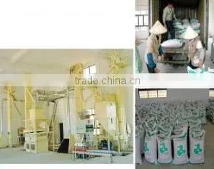 Beihai Green Kingdom Biology And Landscape-Creating Co., Ltd. company overview - view 3 thumbnail