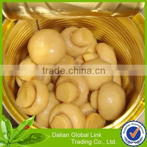 Canned Whole Mushroom Manufactory thumbnail-1
