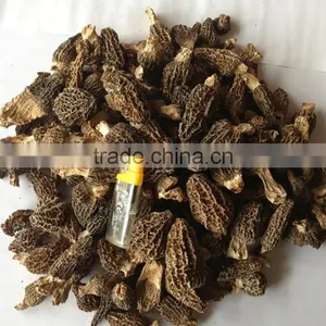Organic Morels Conica Mushroom Dried Morel thumbnail-5