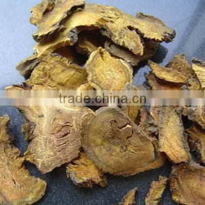 Rhubarb Root thumbnail-1