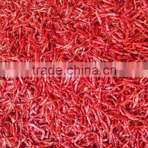 DRIED CHILLI thumbnail-2