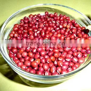 JSX for Sale Small Red Beans Grade A High Quality Adzuki Bean thumbnail-2