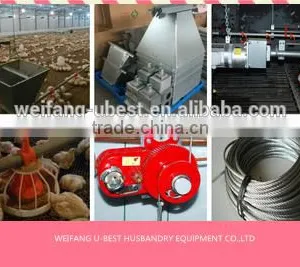 Hot Sale Agricultural Automatic Sheed Poultry Equipment thumbnail-6