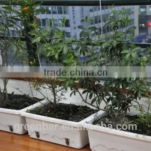 For Indoor Gardening Magic Planting Pot thumbnail-1