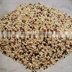 Quinoa Seeds Sorting Machine Color Sorter Machine thumbnail-2
