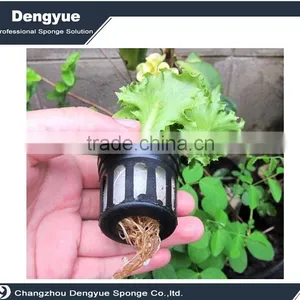 Agricultural Polyurethane High Densuty Seeds Grow Sponge Germination Foam thumbnail-2