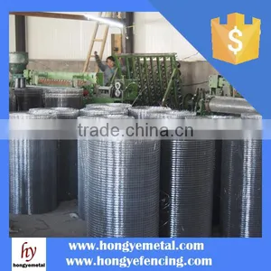High Purity 20Mesh Tungsten Wire Screen Mesh thumbnail-2