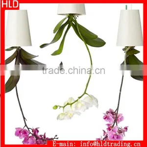 Sky Planter Unique Indoor Decorative Plant Pots thumbnail-1