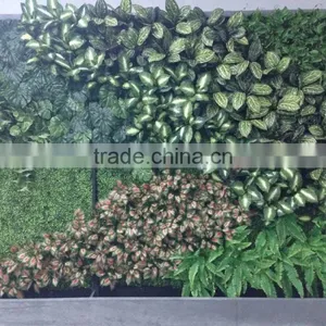 High Quality Artificial Plant Wall Fake Wall Plant thumbnail-2