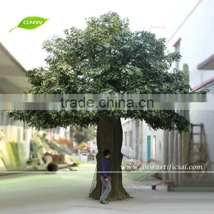 BTR011 7 GNW Banyan Tree thumbnail-1