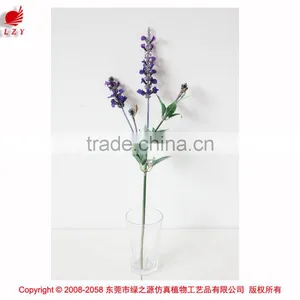 Small Decorative Flower Lavender Plant for Home and Hotel Usage thumbnail-1