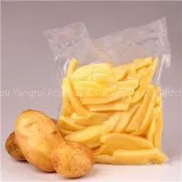 Plastic Vacuum Packaging thumbnail-1