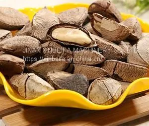 Abalone Fruit Drying Machine thumbnail-4