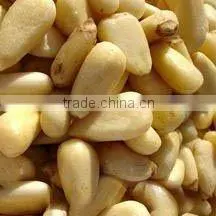 Chines Red Pinenut thumbnail-1