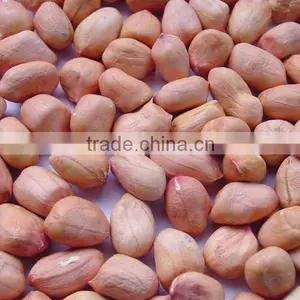 (Hight Quality Product)Red Peanut thumbnail-1