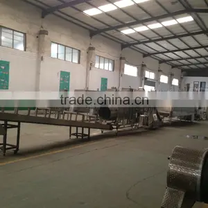 Automatic Twin Screw Bread Crumbs Processing Line thumbnail-2