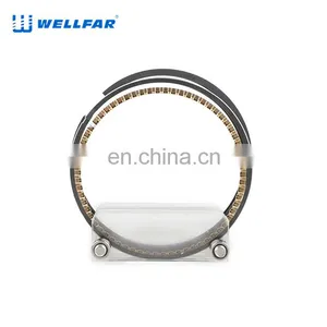 2M4790 Wellfar Ram 1500 Ram 2500 Durango Dakota Piston Rings For Gm 287cid (4.7l) Sohc Edv Engine thumbnail-4
