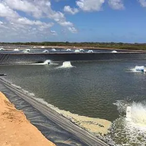 White Shrimp Aquaculture Anti-seepage Measures 8 Meters Wide, 420 Meters Long, and 0.5mm Thick HDPE Geotextile Film thumbnail-3