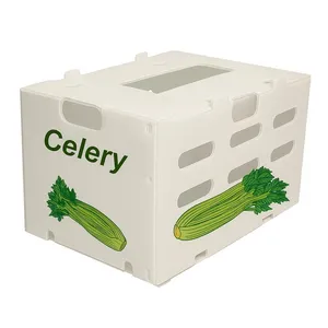 Wholesale Corrugated Plastic / Coroplast Boxes for Fruit and Vegetable thumbnail-3