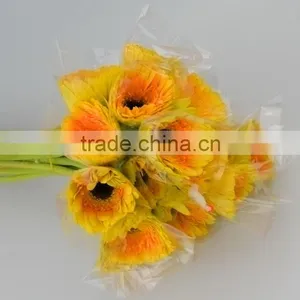 Fresh Champagne Flowers of Gerbera thumbnail-6