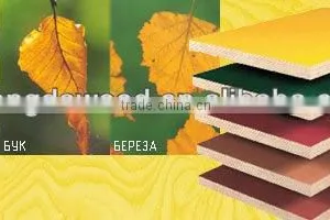 Top Quality Film Faced Plywood thumbnail-3