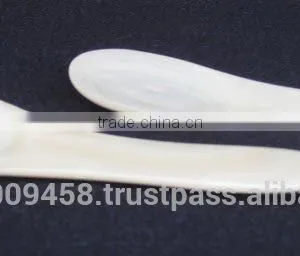 Mother of Pearl Spoon thumbnail-1