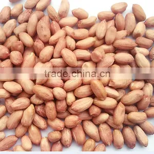 New Crop Chinese Roasted Peanuts In Shell thumbnail-3
