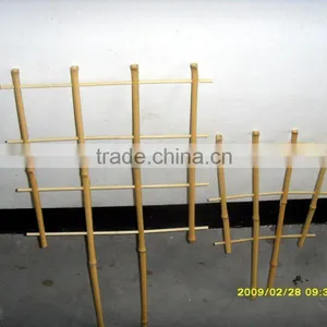 Bamboo Trellis Sun-006 thumbnail-1