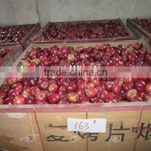 Export Huaniu Apple Company thumbnail-2