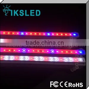 Light Aquarium Plants DC12V/24V IP68 Underwater Led Strip thumbnail-1