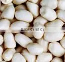 Peanut Kernels,blanched Peanut ,peanut in Shell,roasted Peanut Kernels,roasted Peanut Chopped and Splits,roasted Peanut Inshell thumbnail-5
