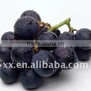 Fresh Dried Black Raisin High Quality Good Price thumbnail-1
