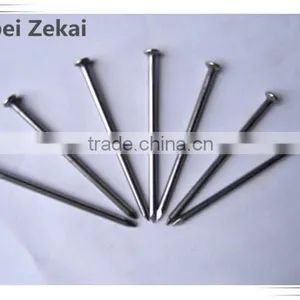 6" Stainless Steel Nails/iron Round Common Wire Nails for Building thumbnail-1