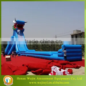 Giant Inflatable Water Slide for Adult thumbnail-1