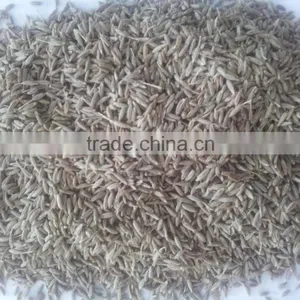 Cumin Seed Singapore Quality New Crop 2016 thumbnail-2