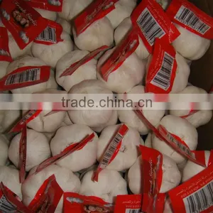 FRESH GARLIC CROP 2015 thumbnail-5