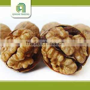Chinese Dried Fruit Walnut, Walnut Supplier, thumbnail-1