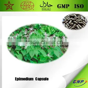 Qingdao BNP Sells High Quality Epimedium Extract Capsule thumbnail-1