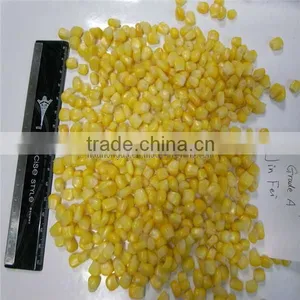 NEW FROZEN WHOLE KERNEL CORN JINFEI SWEET CORN thumbnail-1