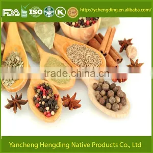 Factory Supply Natural Star Anise From Jiangsu of China/Whole Star Anise Good Quality and Big Quantity thumbnail-5