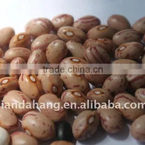 Chitra Rajma thumbnail-1
