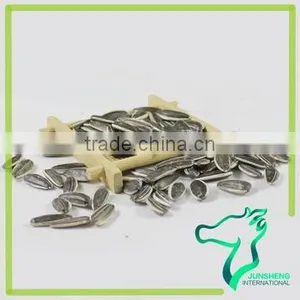 Striped Bulk Raw White Sunflower Seeds thumbnail-2