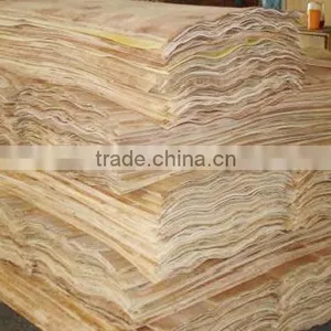 HOT SALE SHORT EUCALYPTUS/ACACIA CORE VENEER FOR PLYWOOD thumbnail-1