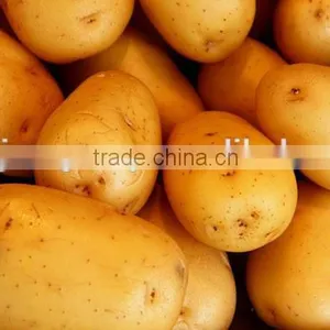 Potato Chips Production Line for Snack Machine thumbnail-3